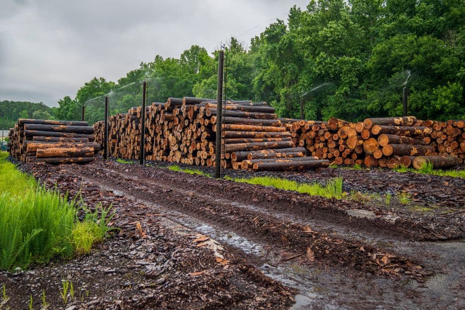Pelatihan Analisis Well Logging