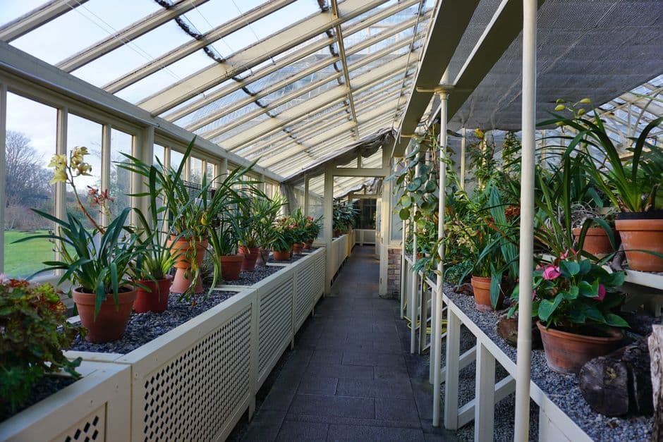 Pelatihan Budidaya Anggrek dan Greenhouse