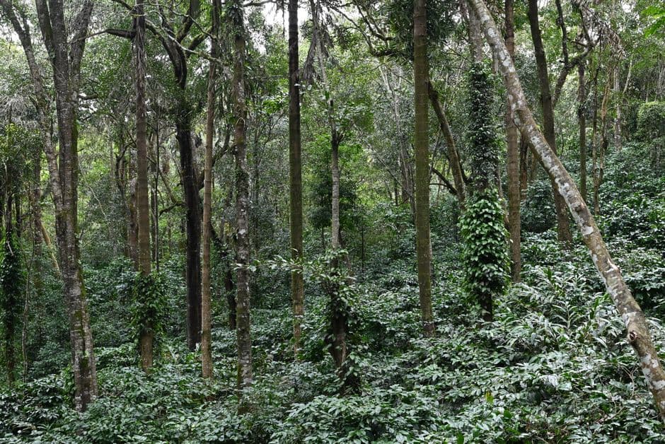 Pelatihan Perlindungan Keanekaragaman Hayati