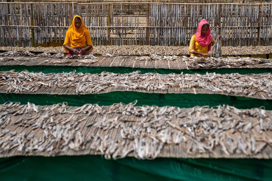 Pelatihan HACCP untuk Produk Ikan dan Hasil Perikanan