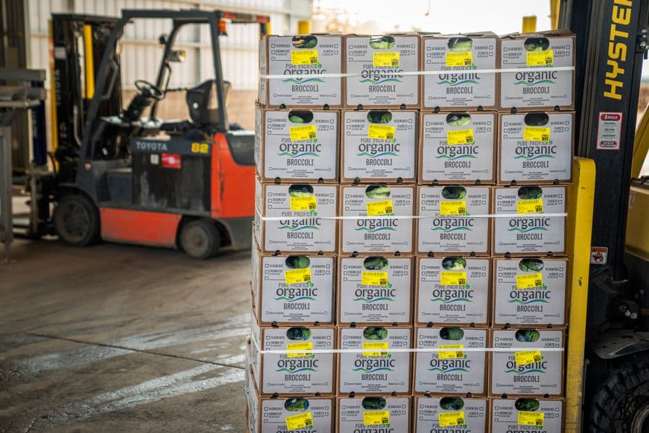 Pelatihan Logistics Cargo Materials Handling Management