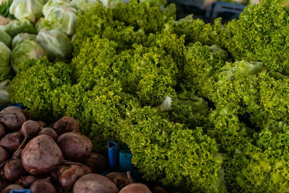 Pelatihan Praktik Terbaik Agribisnis Perkebunan Sayuran Hijau