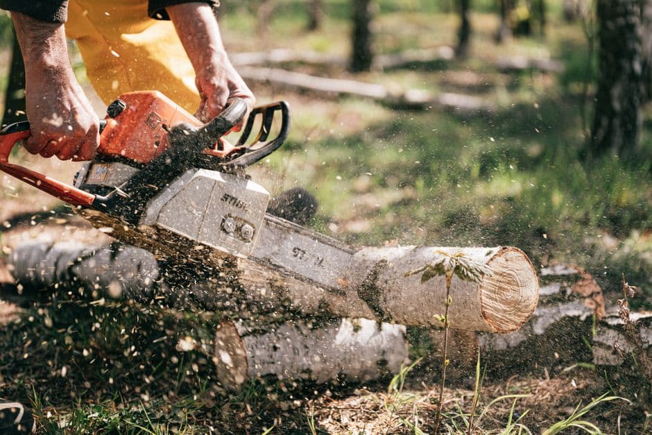 Pelatihan Sertifikasi Operator Chainsaw