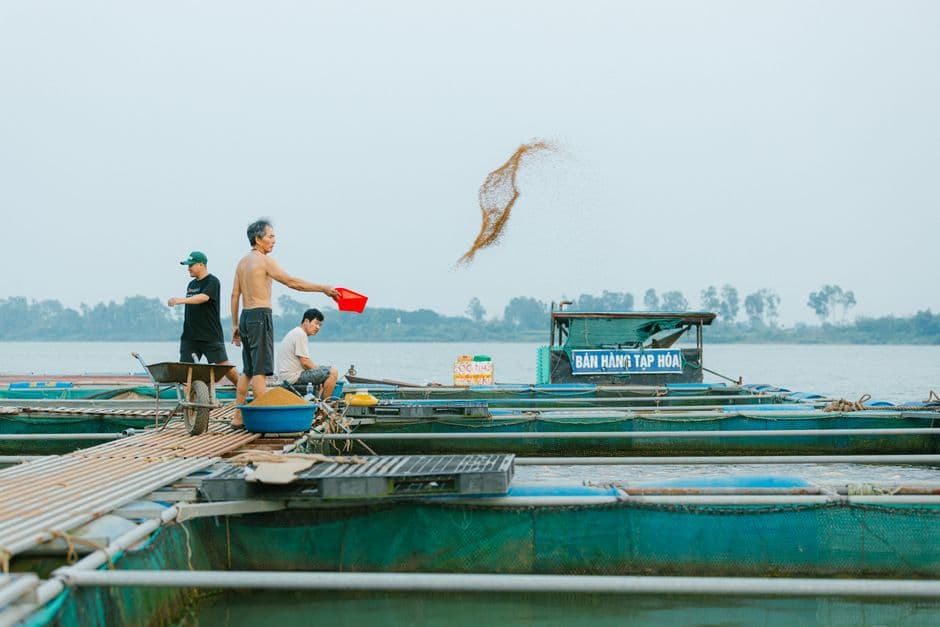 Produksi Pakan Ikan Mandiri untuk Efisiensi Budidaya