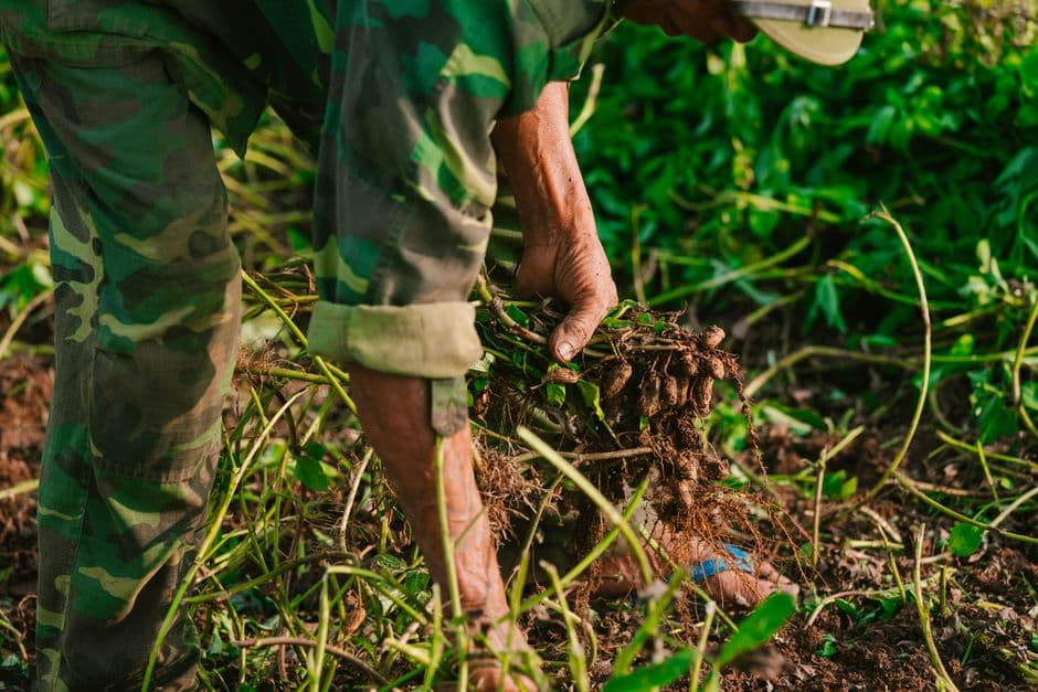 Sertifikasi Manajemen Agribisnis Jenjang 4