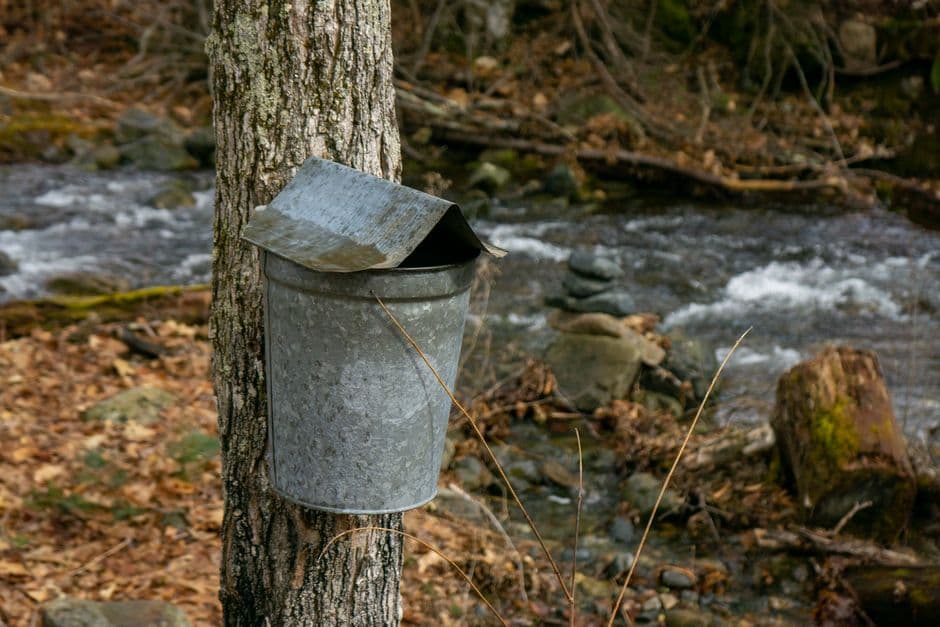 Tenaga Teknis Pengelolaan Hutan (GANISPH) Pemanfaatan Hasil Hutan Bukan Kayu Kelompok Getah
